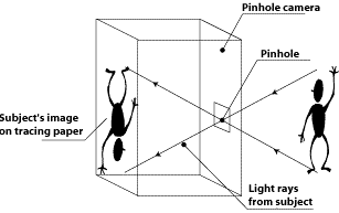 pinhole camera plans
